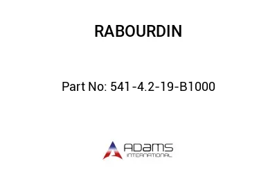 541-4.2-19-B1000