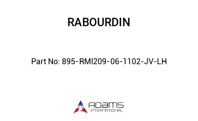 895-RMI209-06-1102-JV-LH