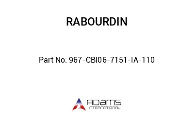 967-CBI06-7151-IA-110