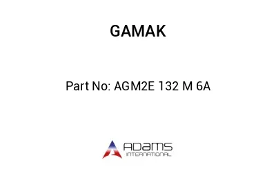 AGM2E 132 M 6A