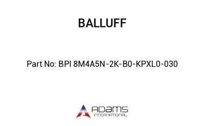 BPI 8M4A5N-2K-B0-KPXL0-030									