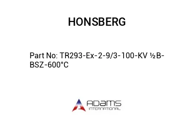 TR293-Ex-2-9/3-100-KV ½B-BSZ-600°C